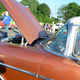 Illustration for article titled Cruise In Photo Dump